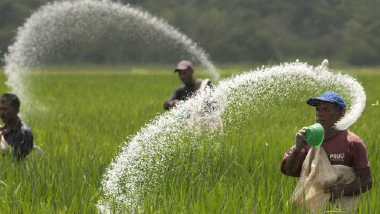 Giá Phân Bón Tăng Mạnh Thêm 40 Nỗi Khổ Người Nông Dân